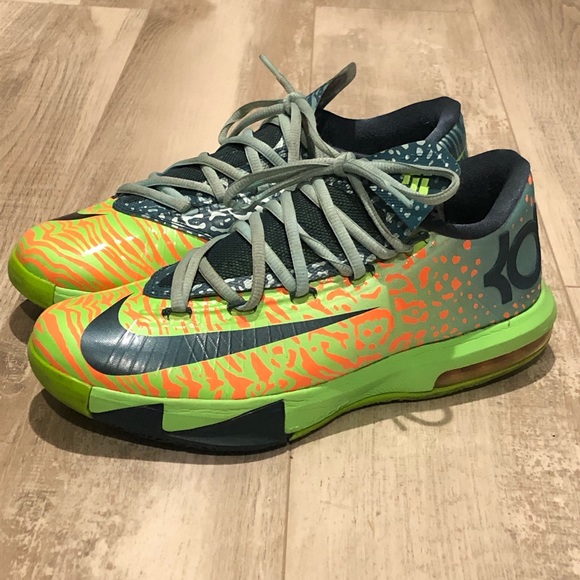 kd 6 liger
